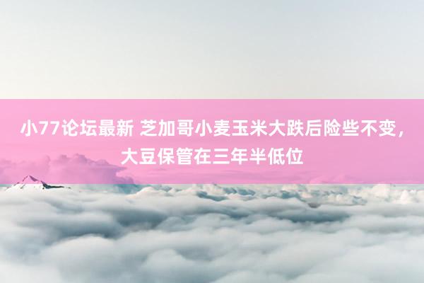 小77论坛最新 芝加哥小麦玉米大跌后险些不变，大豆保管在三年半低位