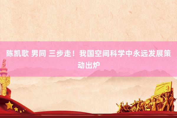 陈凯歌 男同 三步走！我国空间科学中永远发展策动出炉
