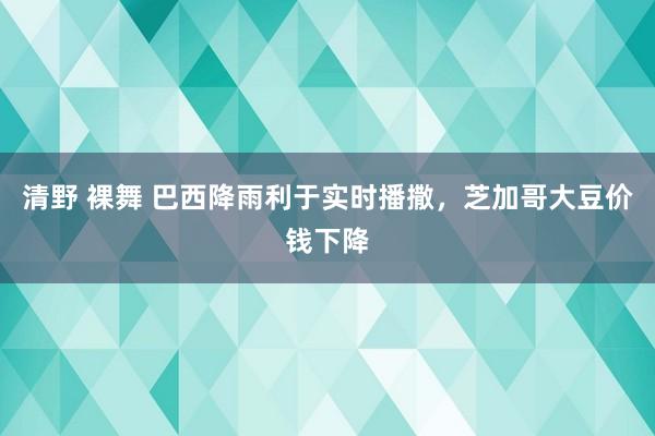 清野 裸舞 巴西降雨利于实时播撒，芝加哥大豆价钱下降